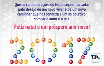 Mensagem de Natal e Ano Novo